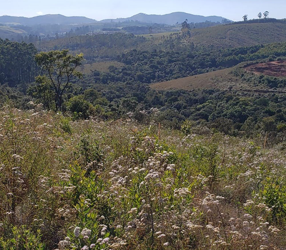 Foto área Alcoa pesquisa